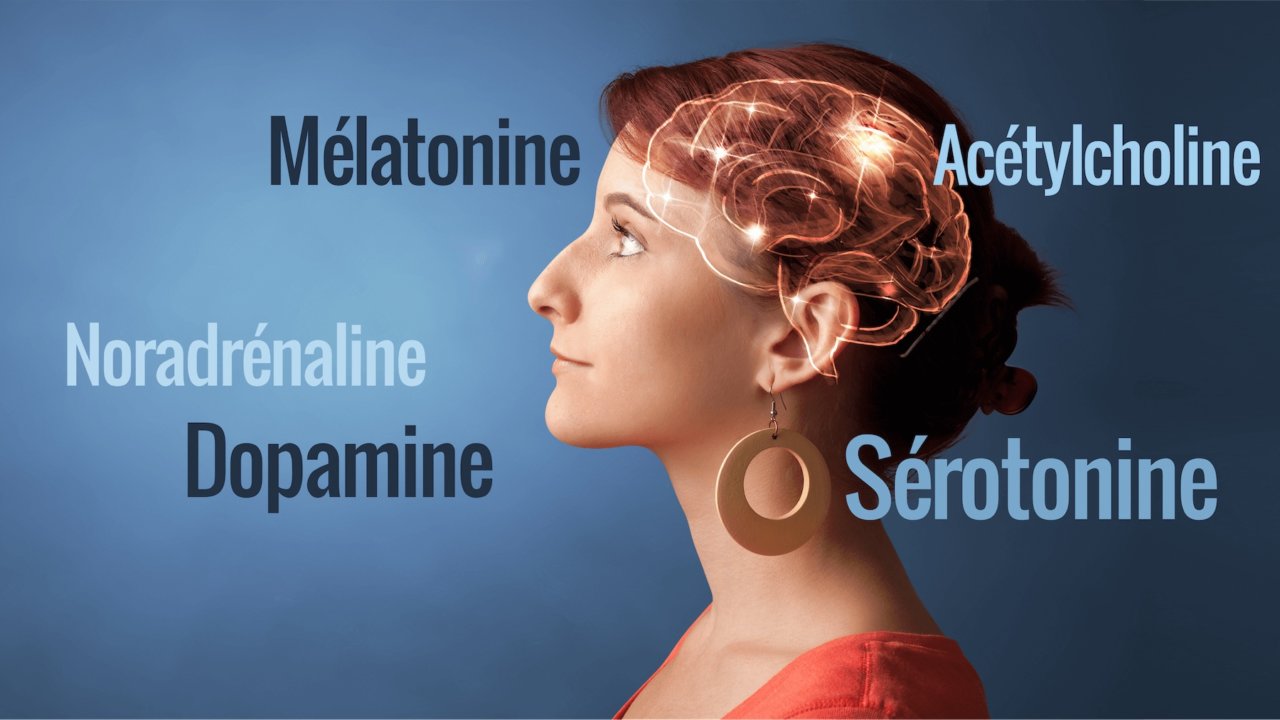 neurochimie du cerveau - BeBooda : formations en ligne